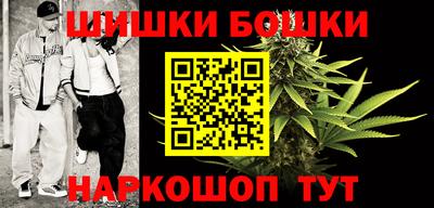 apvp Краснознаменск